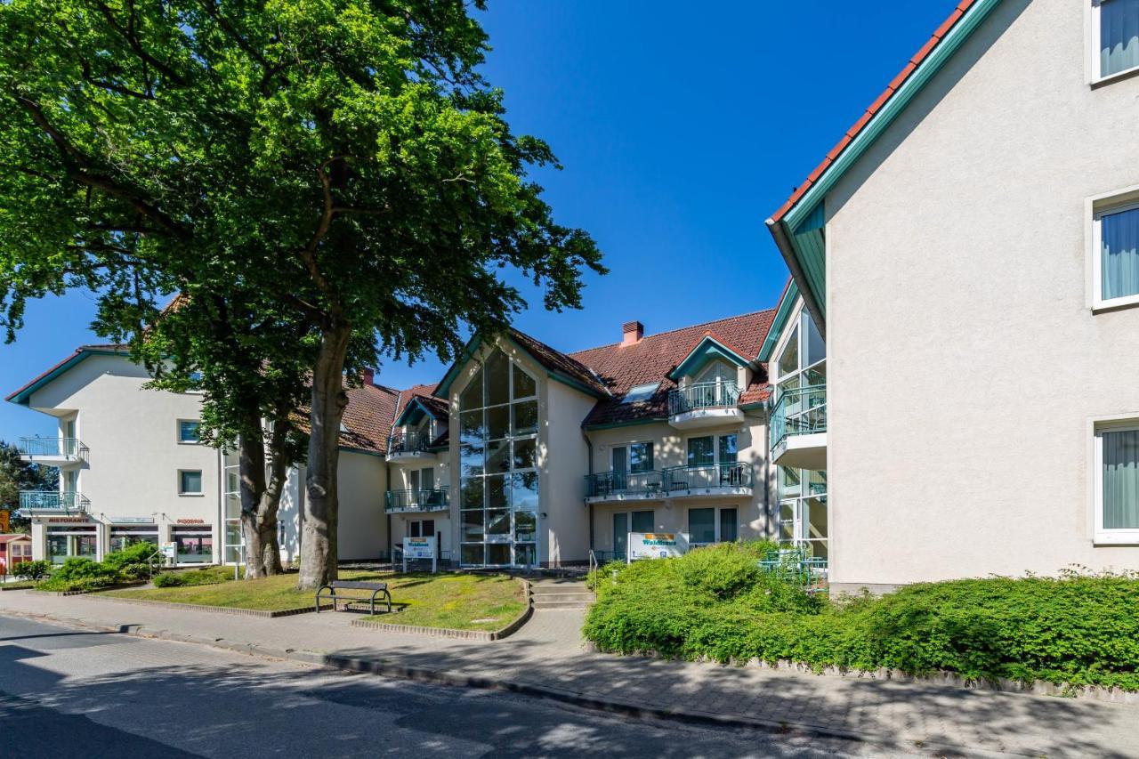 Apartment Sunshine Zempin Dış mekan fotoğraf